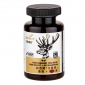 ‘Big-Bulb’ Deer Velvet + Astaxanthin  VelAsta396-56- Bottle Only