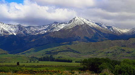 NZ Southland, NZ - New Zealand's Changbaishan_Deer Location