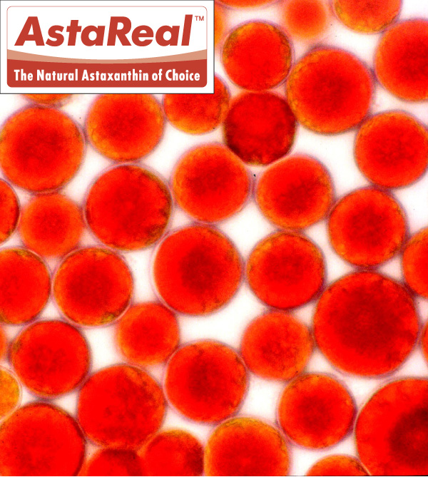 Astaxanthin is the strongest safe natural antioxidant and anti-inflammatory substance on earth. Its antioxidant effect is 6000 times stronger than that of Vitamin C.