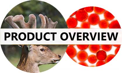 Altrive Deer Velvet + Astaxanthin Efficacy & Health Benefits